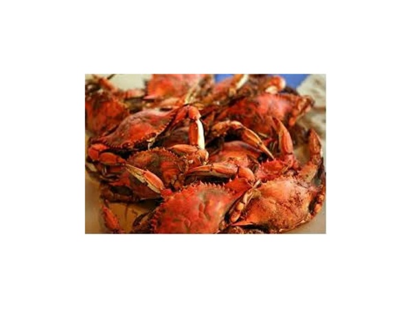Blue Crabs & Beer Feast  - Sumter Original Brewery Logo