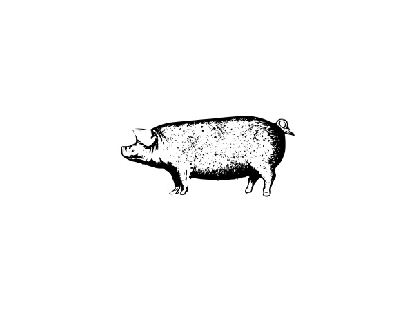 Speckled Pig Brewing Logo
