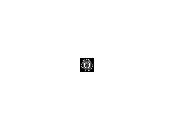 Columbia Kettle Works 2nd Gear Logo