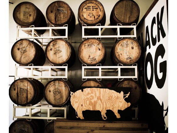 Black Hog Brewing Co Logo