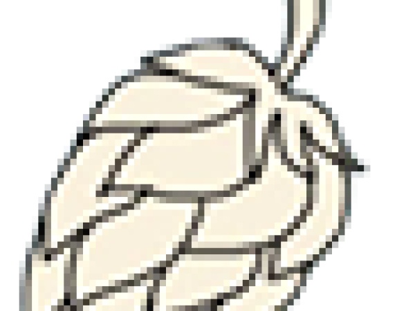 Hopsquad Brewing Company Logo