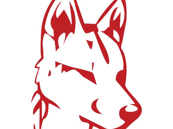 Dingo Dog Brewing Co Logo