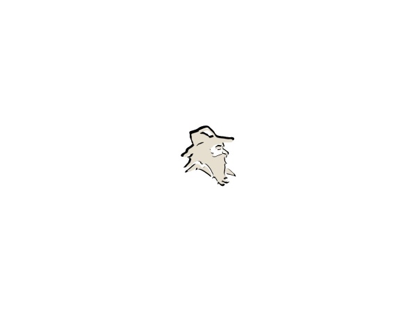 Rip Van Winkle Brewing Co. Logo