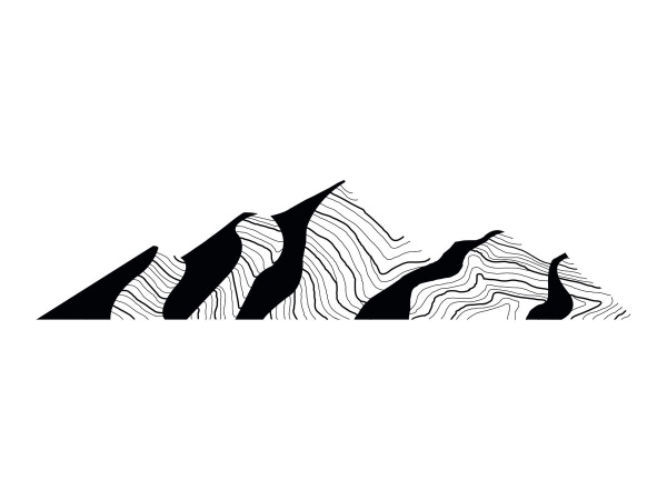 Steep Roasters & Craft Beer Logo