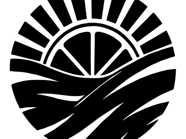 Vitamin Sea Brewing Logo