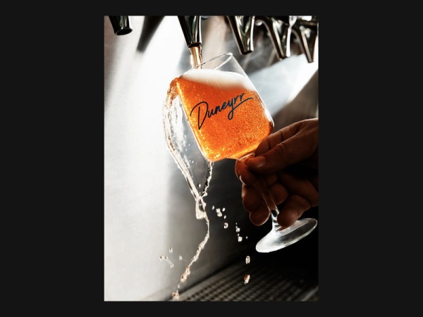 Duneyrr Artisan Fermenta Project Logo