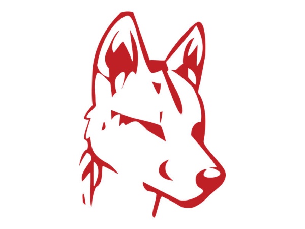 Dingo Dog Brewing Co Logo