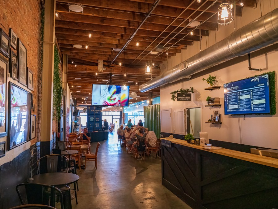 Twisted Spike Barley and Bees