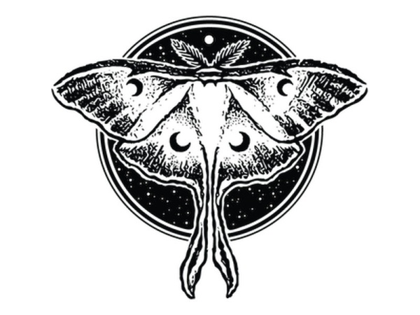 Nocturnal Brewing Company Logo